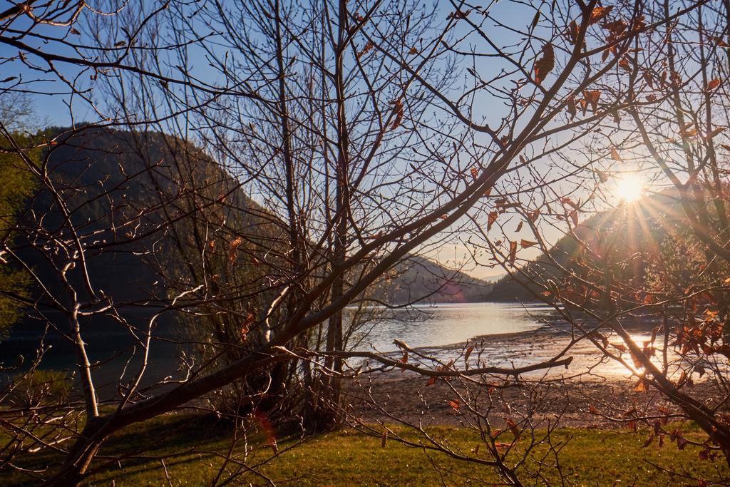 Pension Aloisia Шеффау-ам-Вильден-Кайзер Экстерьер фото