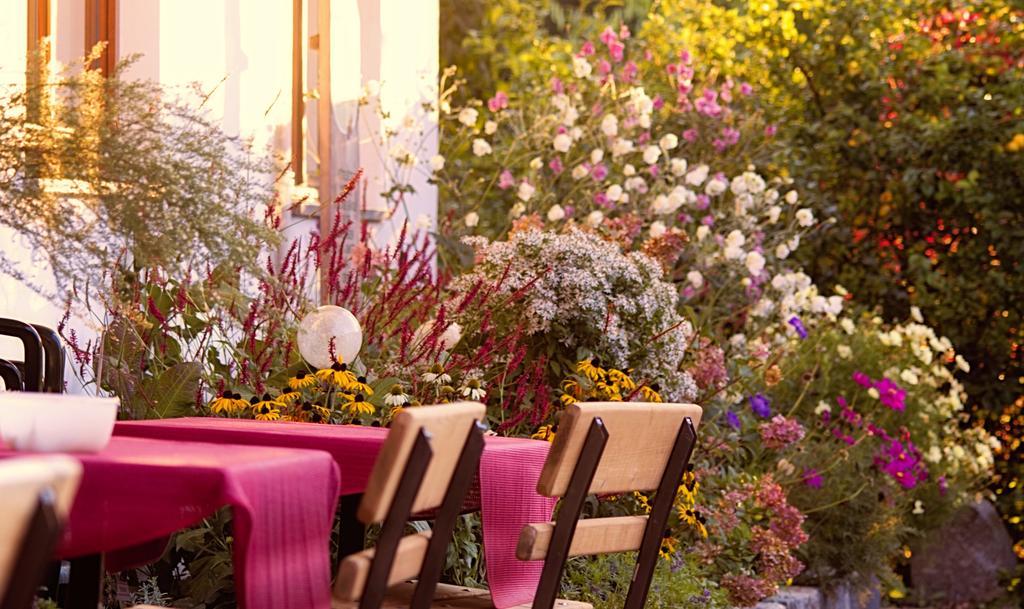 Pension Aloisia Шеффау-ам-Вильден-Кайзер Экстерьер фото