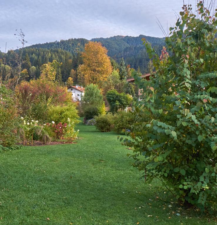 Pension Aloisia Шеффау-ам-Вильден-Кайзер Экстерьер фото